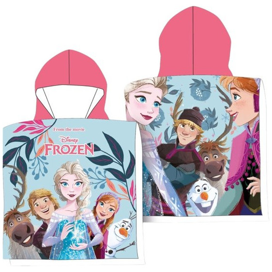 Frozen Poncho