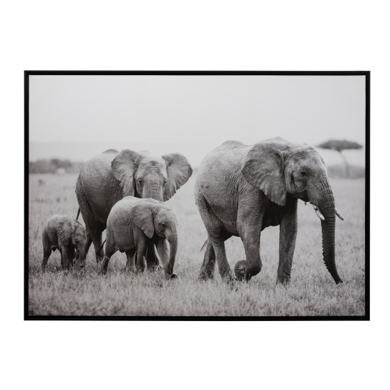 Frame Elephant Family...