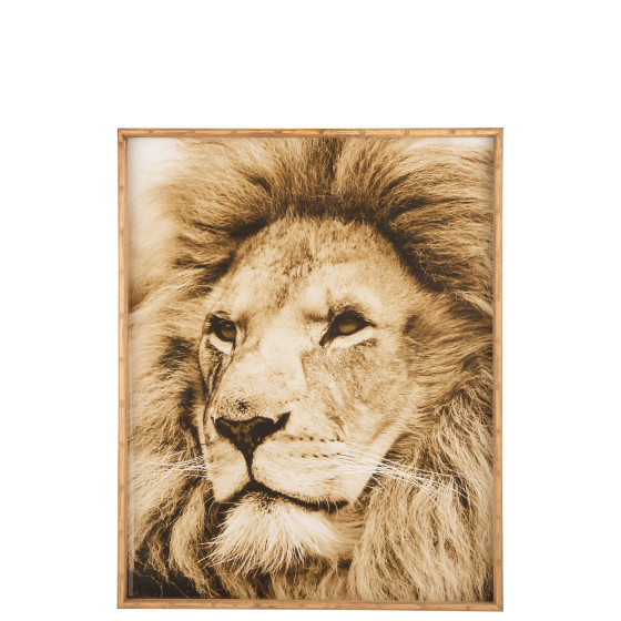 Wall Decoration Lion Wood/Glass Brown